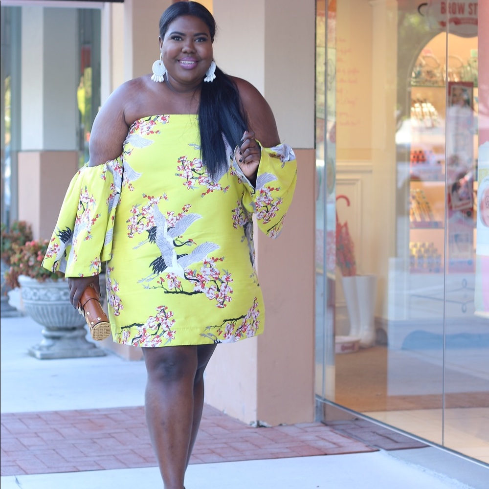 Extreme Ruffle Sleeve Jacquard Mini Dress